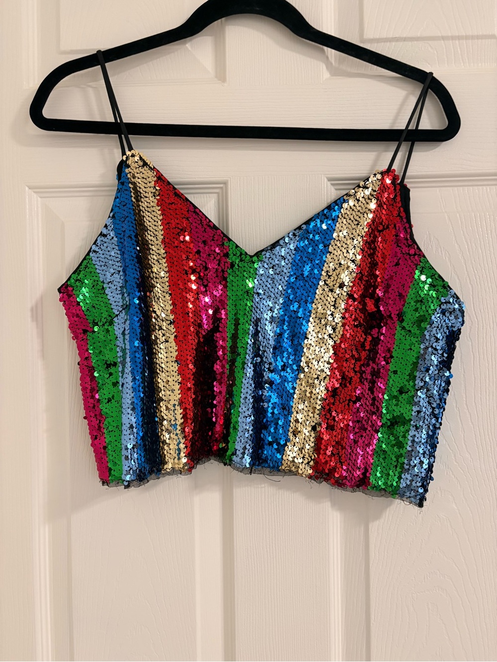 Multicolor Sequin Striped Camisole - Party-Ready Crop Top